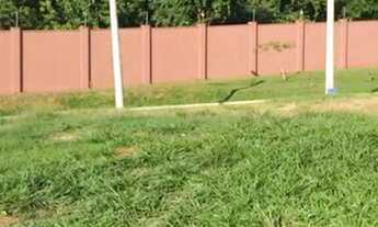 Imagem 2: VENDO AGIO LOTE FRENTE MATA