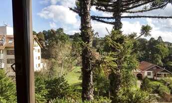 Imagem 7: GRAMADO - Padrão - Planalto