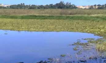 Imagem 4: Sítio para venda com 1.440m² localizado no Rancho Alegre em Arembepe Camacari