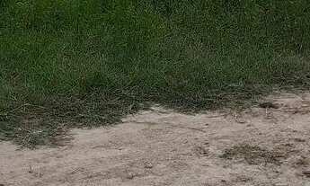 Imagem 3: Terreno ou lote Tanque Grande , serrinha