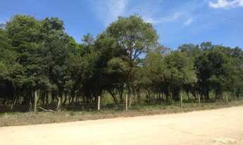 Imagem: Chacara 12.305,44 M2