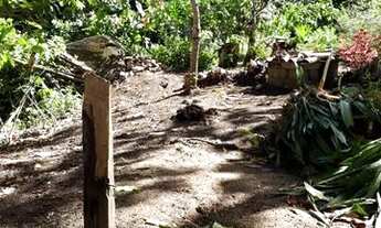 Imagem 6: Sitiy- 2,5 tarefas