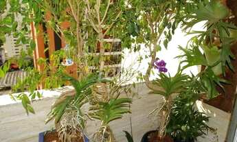 Imagem 5: São Paulo - Apartamento Padrão - Moema