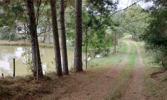 Imagem 2: Sítio Chácara com venda por R$550.000