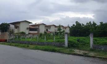 Imagem 7: Terreno Comercial em frente a Maple Bear