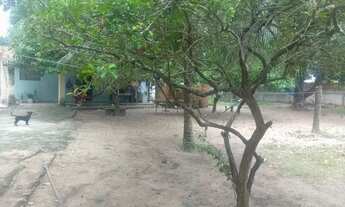 Imagem 3: Granja Chácara com venda por R$180.000