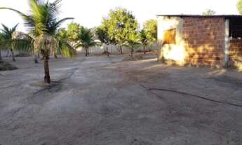 Imagem 5: Chácara Beira Lago Agrotins