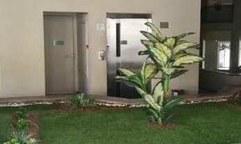 Imagem 4: Lindo Apartamento - 2 dorms - Zona Norte