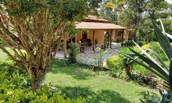 Imagem 6: Espetacular Sítio 4.000 metros todo murado