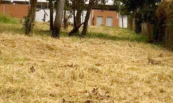 Imagem 4: Terreno para alugar, 5046 m² por R$ 16.000,00/mês - Recreio Anhangüera - Ribeirão Preto/SP