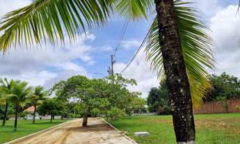 Imagem 3: Lotes 51 e 52 do condomínio BounganviIIe. Recife-PE caminho de Aldeia