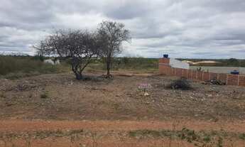 Imagem: Terreno na Ponta da Serra