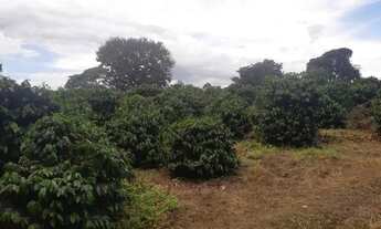 Imagem 4: Vendo terras próximo a Palmeiral contendo 3 hectares . Direto com proprietário