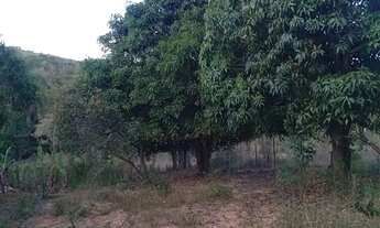 Imagem 4: Chácara 5.000 m²...Água por gravidade...144.900.00