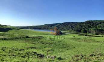 Imagem 5: Sítio em São Francisco de Paula!