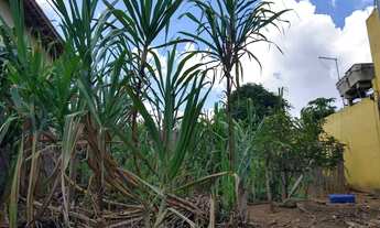 Imagem 6: Lote em Rua das Damasqueiras - Jardim Petrópolis - Cotia/SP