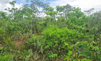 Imagem 5: Fazenda 2.750 hectares valor 8.250.000