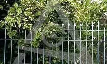 Imagem 6: Terreno à venda em Campinas, Jardim Nova Europa, com 435 m²