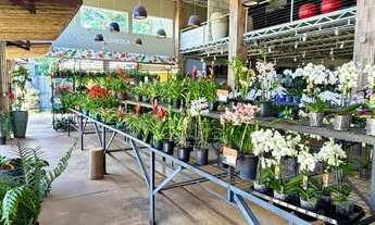 Imagem 2: Aluguel - Mega imóvel comercial no Jardim Goiás com 1.600m2