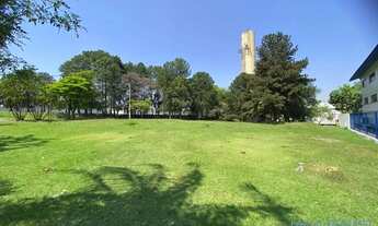 Imagem 6: TERRENO - TAMBORÉ - SP