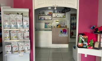 Imagem 3: REPASSE DE CLÍNICA VETERINÁRIA