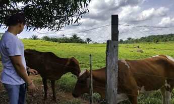 Imagem 6: FAZENDA NO CANTA NA CONFIANÇA III