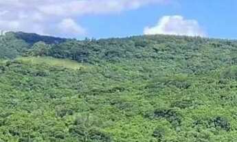 Imagem: Sítio / Chácara para Venda em Nova Petrópolis