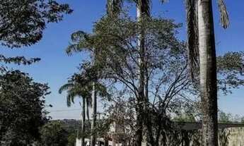 Imagem: Terreno à venda no bairro Vila Maria