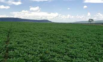 Imagem: Fazenda de 165 alqueires a venda em Jandaia-Go