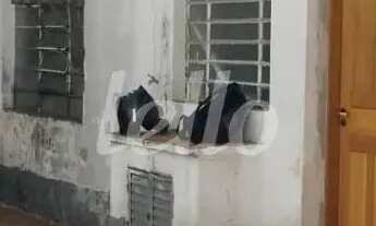 Imagem 6: Comercial/Industrial 2 quartos para alugar no(a) Tucuruvi