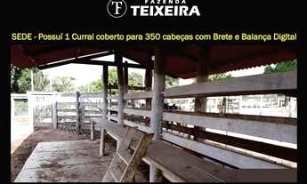 Imagem 3: FAZENDA TEIXEIRA - EM FRENTE AO OUTLET