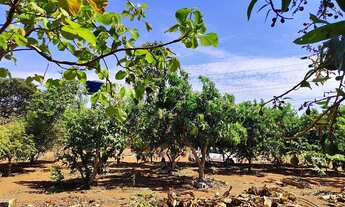 Imagem 2: Ágio chácara Chácara com venda por R$70.000