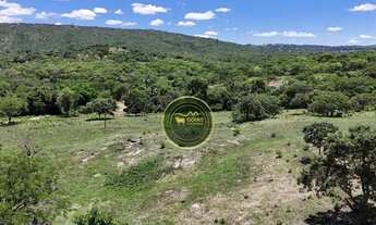 Imagem 4: 90 alqueires Varjão