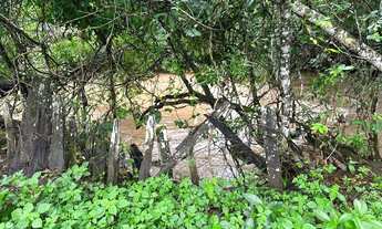 Imagem 4: Vendo uma chácara de 4 alqueire na beira do rio caldas em bonfinopolis