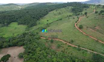 Imagem 6: FAZENDA À VENDA - 576 HECTARES - FELÍCIO DOS SANTOS (MG