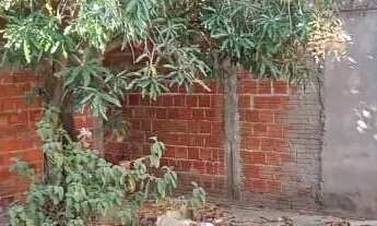 Imagem 2: Casa bairro pedro balzi