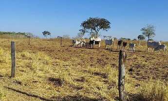 Imagem: Fazenda à Venda em Bom Jardim (GO) 140