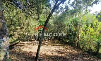 Imagem 3: Lote em Vereda das Figueiras - Vale do Sol - Embu das Artes/SP