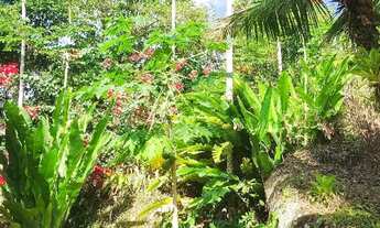 Imagem 4: Casa estilo colonial em Paraty