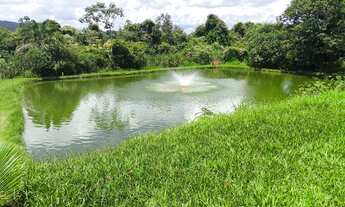 Imagem 3: Fazenda em Guapó