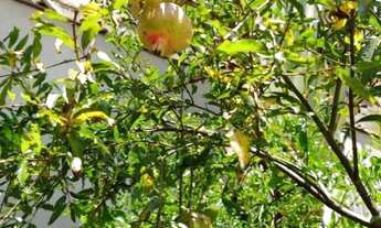 Imagem 6: Casa de condomínio em Rua Conde de Oriola - Jardim Ângela (Zona Sul) - São Paulo/SP