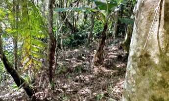 Imagem 2: Chácara com lago em Juquitiba