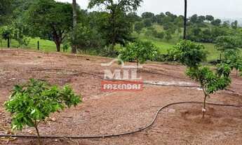 Imagem 7: Imóvel para venda tem 500 metros quadrados em Zona Rural - Guapó - GO