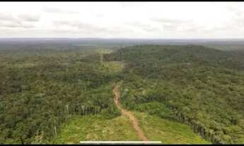 Imagem 2: Excelente Fazenda na Amazonas
