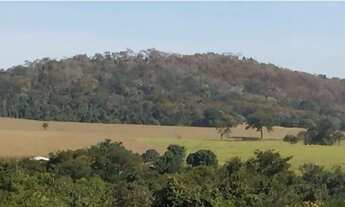 Imagem: Fazenda em frente ao Casarão (Cezarina