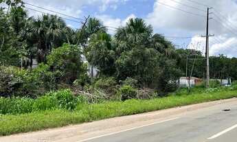 Imagem 3: TERRENO A VENDA EM PEDRINHAS - São Luís - MA