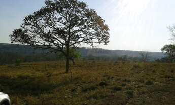 Imagem 2: Chácaras com 20.000m² com distancia de 17km da cidade - Cód.4790