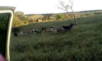 Imagem 2: Terreno na beira do Rio Farturinha