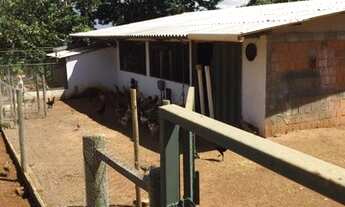 Imagem 4: Vendo chacara formada a 2 km da lagoa formosa