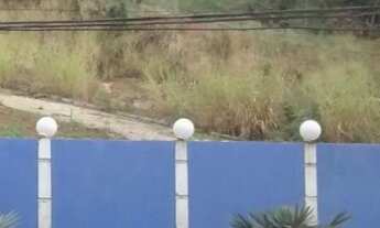 Imagem 3: Vendo terreno Terreno / lote com venda por R$95.000